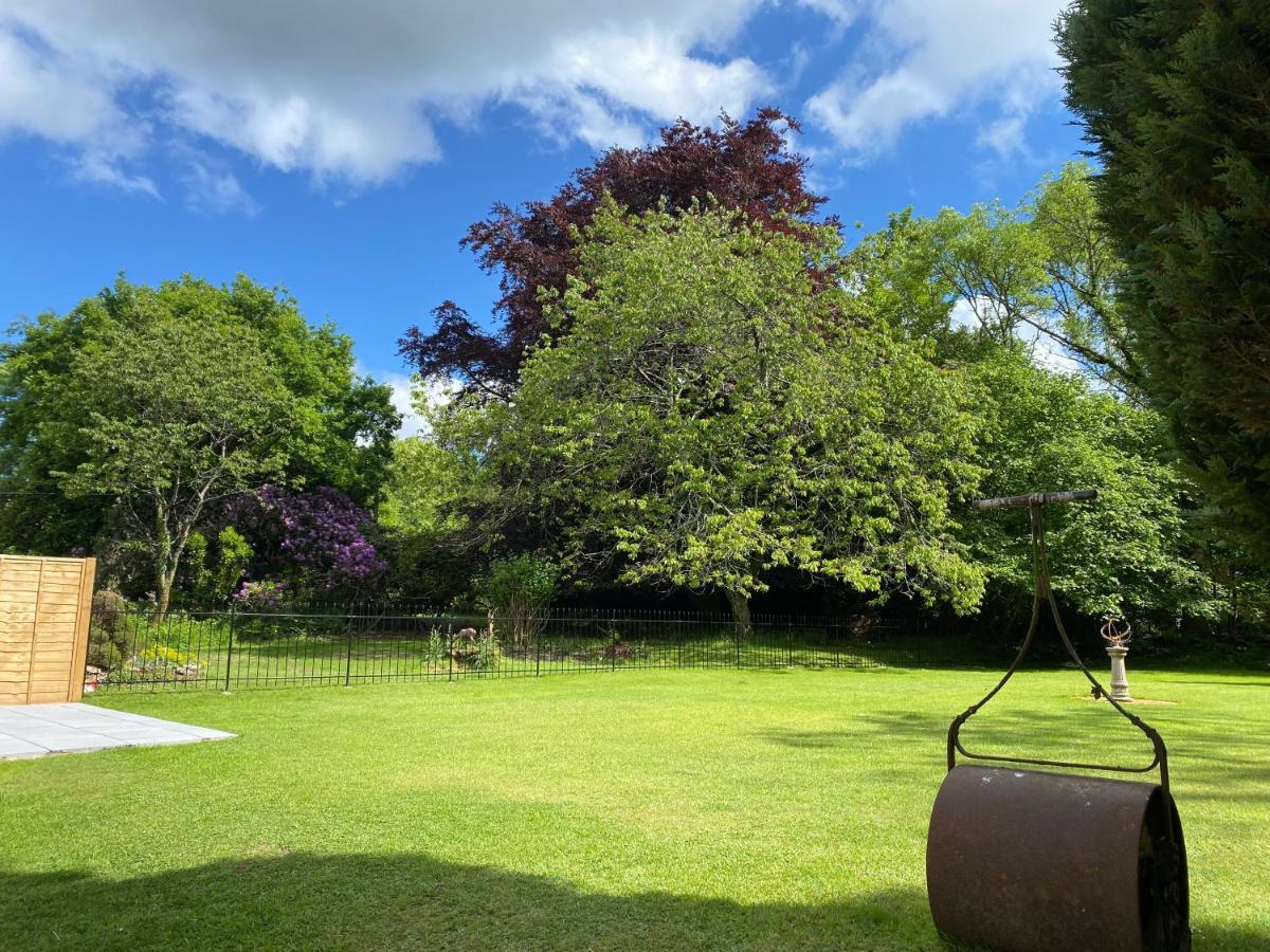 Springfield Lodge - Adorable New Forest 1-Bedroom Guest House Ringwood Eksteriør billede